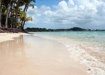 Séjour Temporaire en Résidence Seniors   dans le département de La Réunion